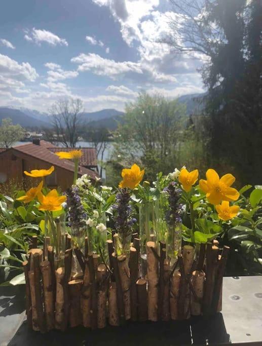 See- Und Bergblick In Bestlage Am テガーンゼー エクステリア 写真